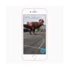 Apple iPhone 8 64GB אפל – מאוקטב